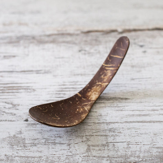 Coconut Shell Spoon