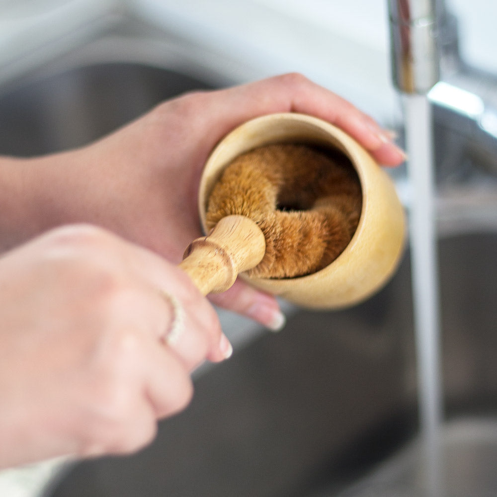 Eco kitchen cleaner brush