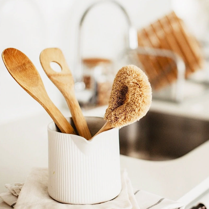Coconut Dish Brush