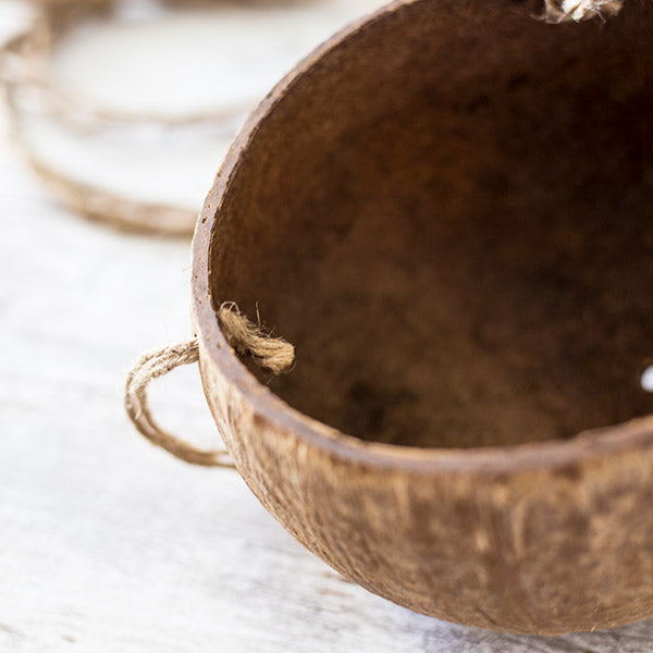 Hanging Coconut Planters