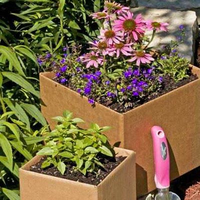 Coconutsy Delivery Box Planters