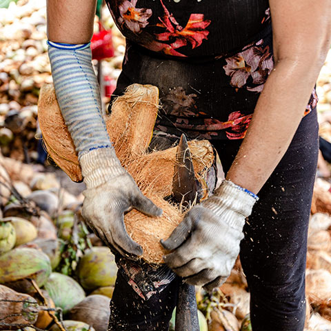 Coconut Bowls Recycling