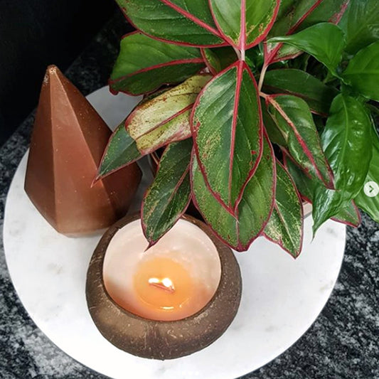 Benefits of coconut candles