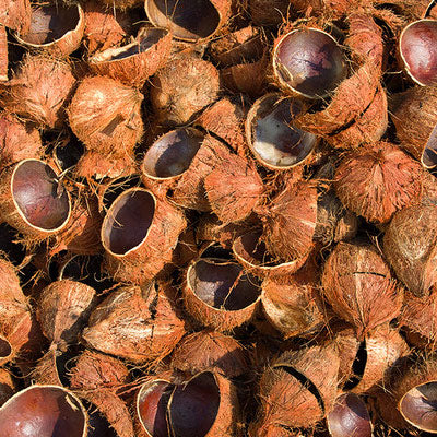 Making coconut bowls