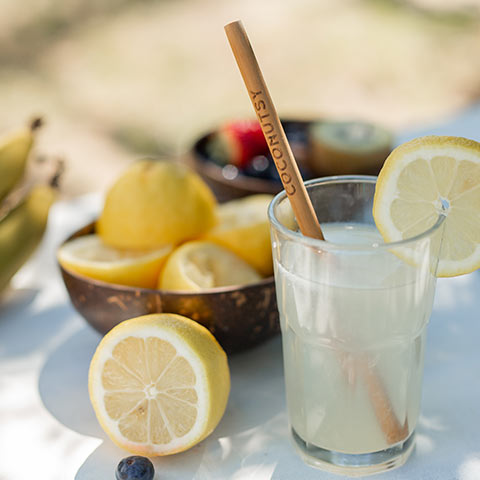 Homemade Lemonade Recipe