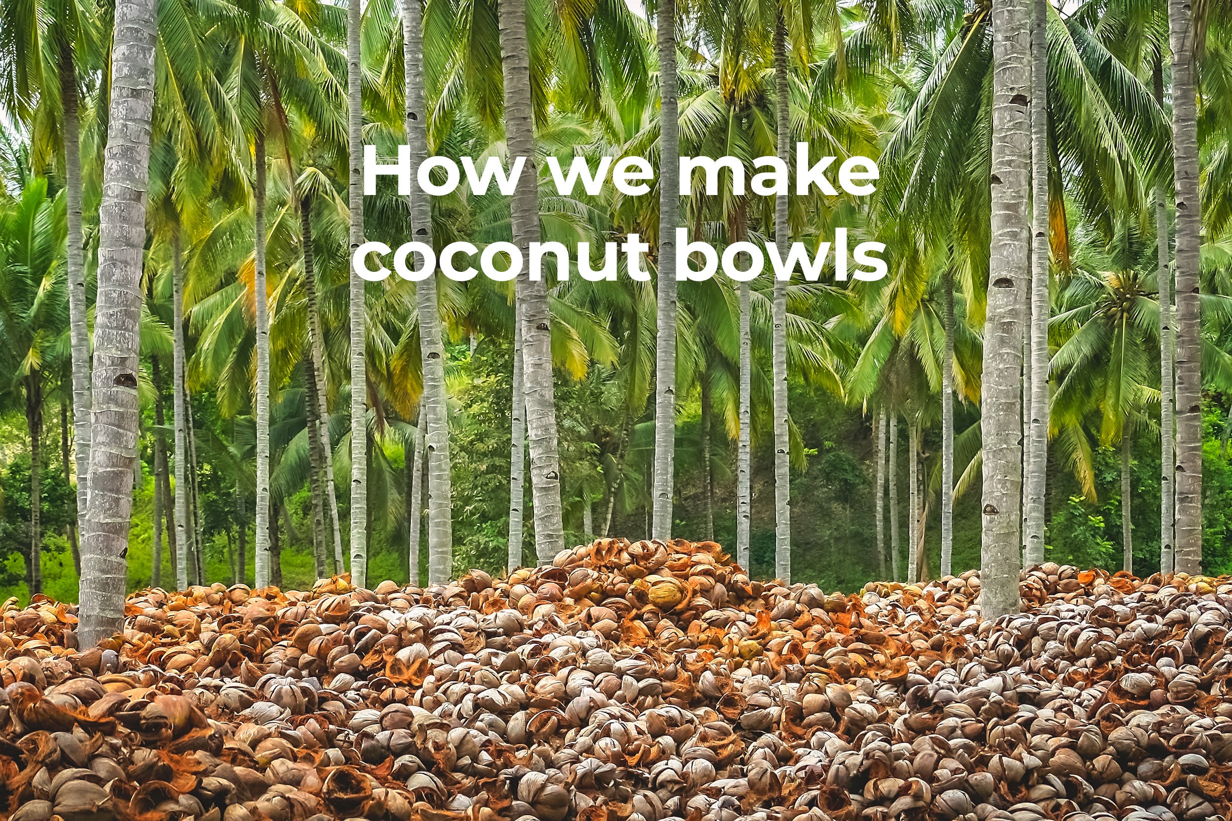 Load video: How To Make A Coconut Bowl