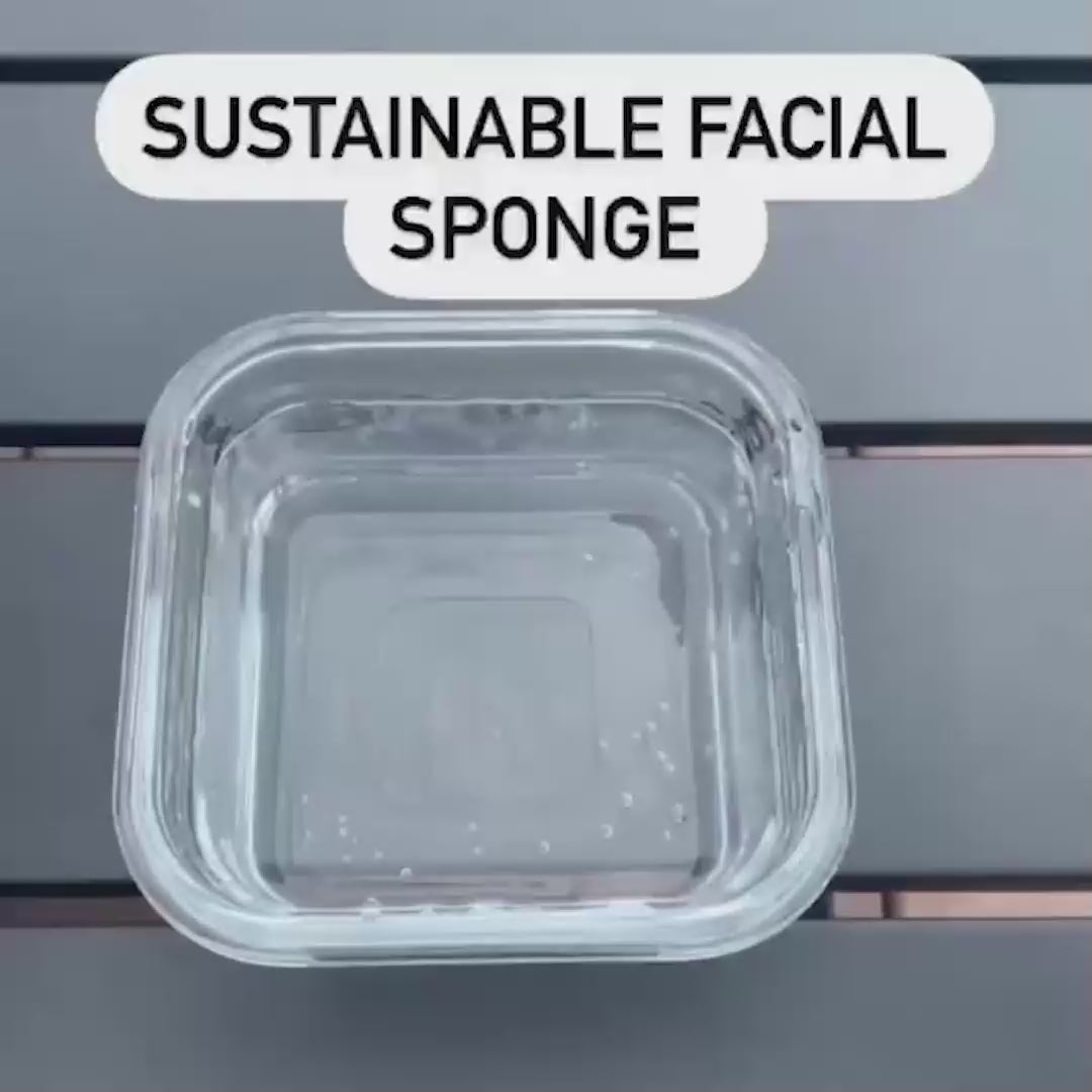 Pure White Konjac Face Sponge