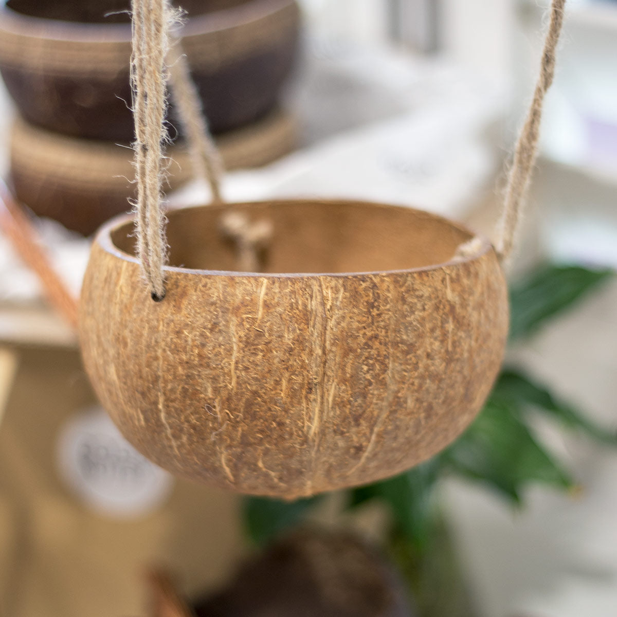 Coconut shell planter