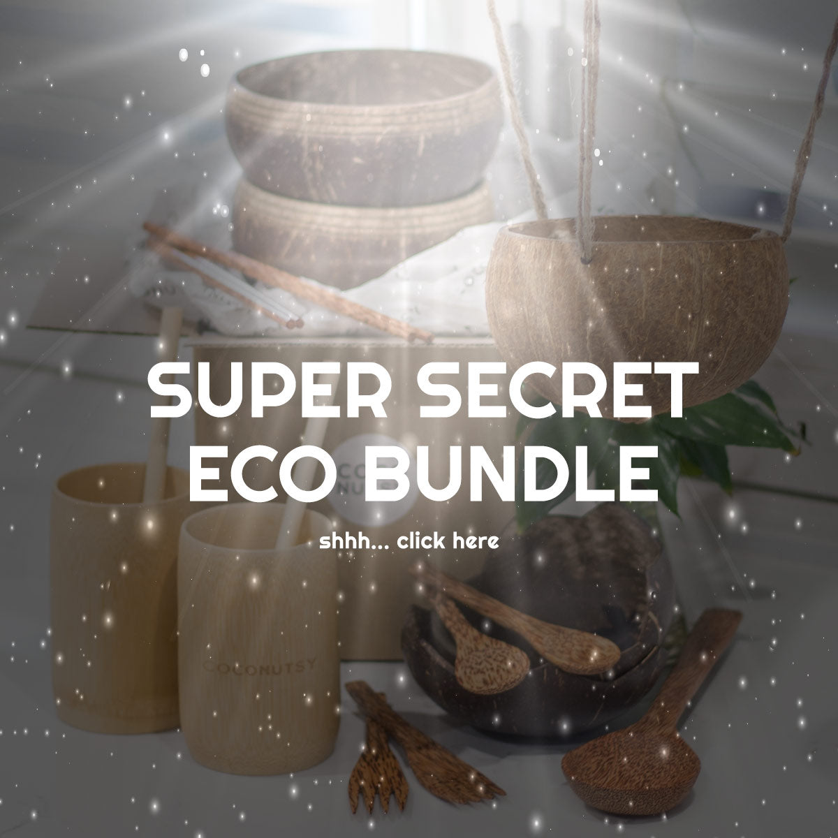 Black Friday Secret Eco Bundle of coconut bowls