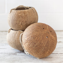 Load image into Gallery viewer, Coconut Shell Planter Set 
