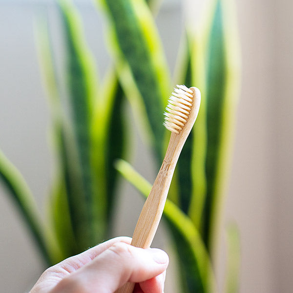 Adult sized bamboo toothbrushes